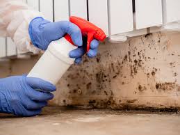 Why you should choose our mold remedi tion services in #city